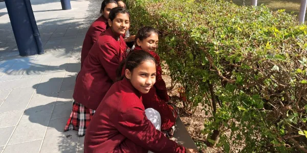 Student's Leanring About Gardening